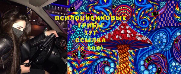 Альфа ПВП Богданович