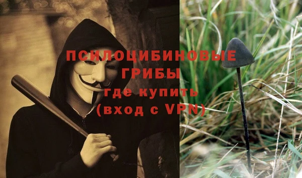 мескалин Богородск