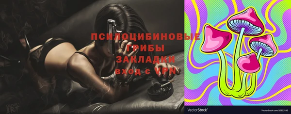 mix Богородицк