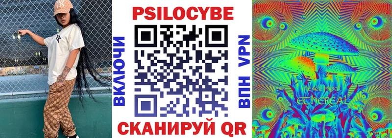 сколько стоит  Красноармейск  Псилоцибиновые грибы Psilocybine cubensis 